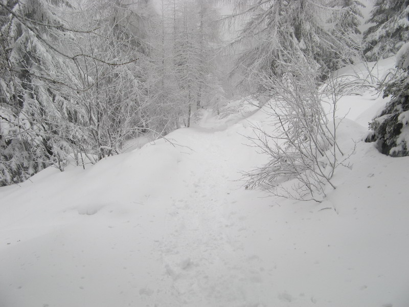 sotto una nevicata